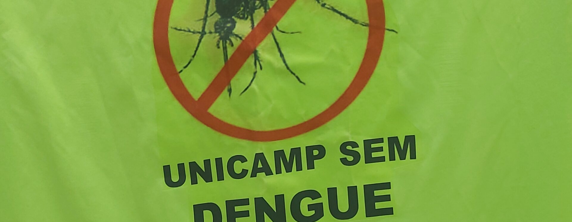 unicamp sem dengue